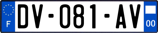 DV-081-AV