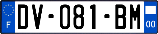 DV-081-BM