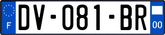 DV-081-BR