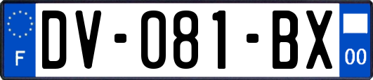 DV-081-BX