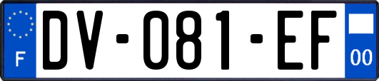 DV-081-EF