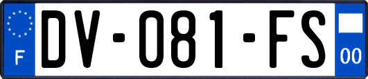 DV-081-FS