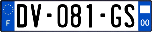 DV-081-GS
