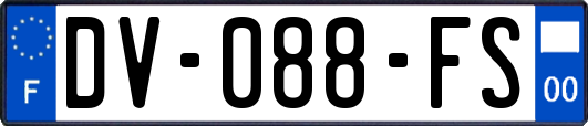 DV-088-FS