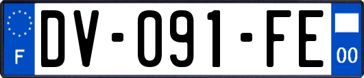 DV-091-FE