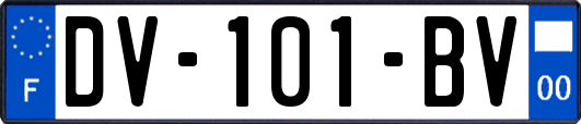 DV-101-BV