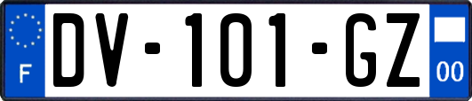 DV-101-GZ