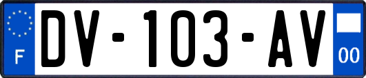 DV-103-AV