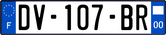 DV-107-BR