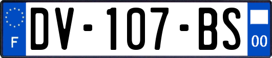 DV-107-BS