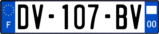 DV-107-BV