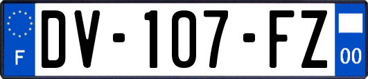 DV-107-FZ