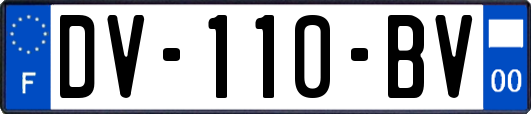 DV-110-BV