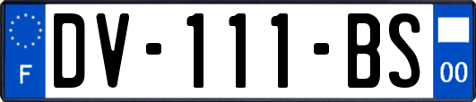 DV-111-BS