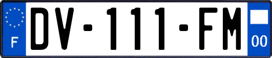 DV-111-FM