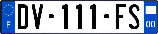 DV-111-FS