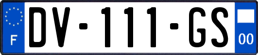 DV-111-GS