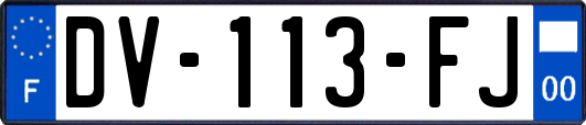 DV-113-FJ