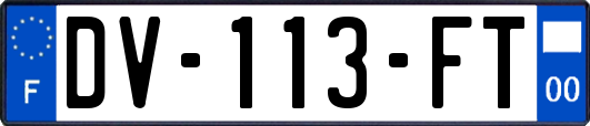 DV-113-FT