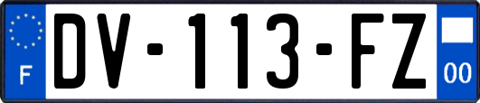 DV-113-FZ