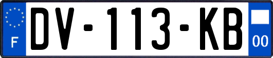 DV-113-KB