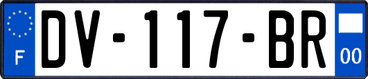 DV-117-BR