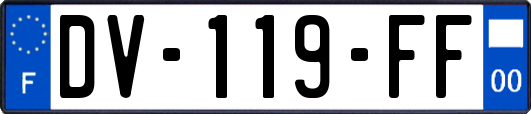 DV-119-FF