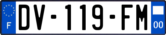 DV-119-FM