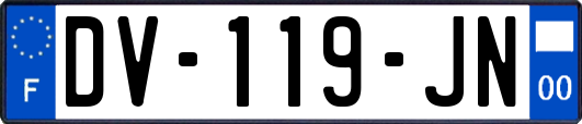 DV-119-JN