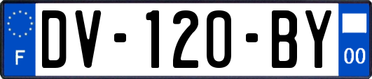 DV-120-BY