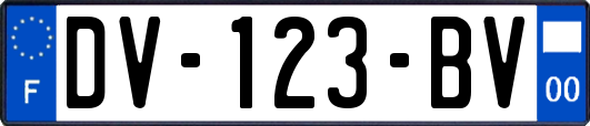 DV-123-BV