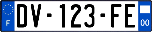 DV-123-FE