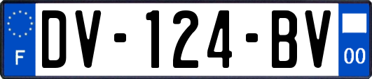 DV-124-BV