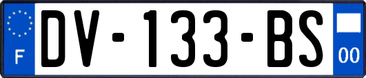 DV-133-BS