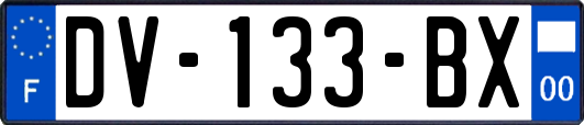 DV-133-BX