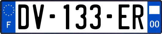 DV-133-ER