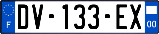 DV-133-EX