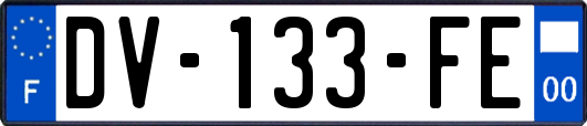 DV-133-FE