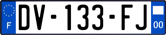 DV-133-FJ