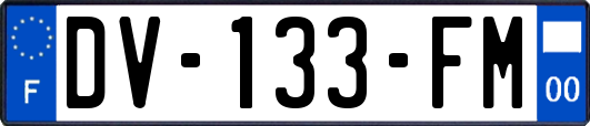 DV-133-FM