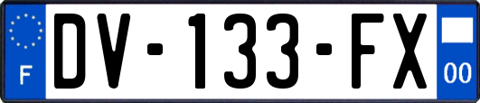 DV-133-FX