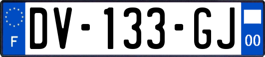 DV-133-GJ