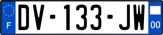 DV-133-JW