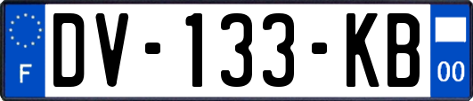 DV-133-KB