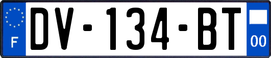 DV-134-BT