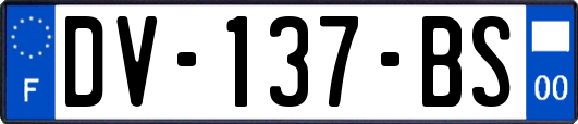 DV-137-BS