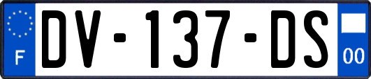 DV-137-DS