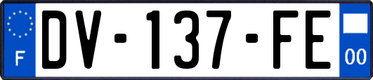 DV-137-FE