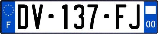 DV-137-FJ