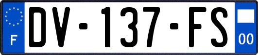 DV-137-FS